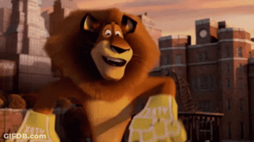 Go Lions Alex Cheering GIF