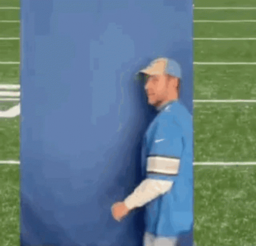 Go Lions Detroit Member Dancing GIF