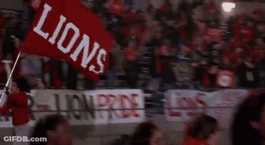Go Lions Flag GIF