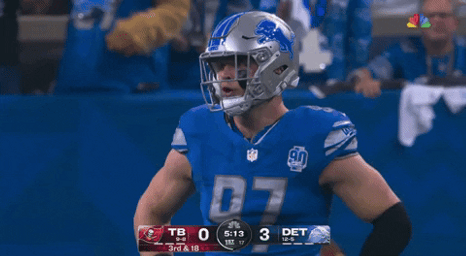 Go Lions Football Team GIF