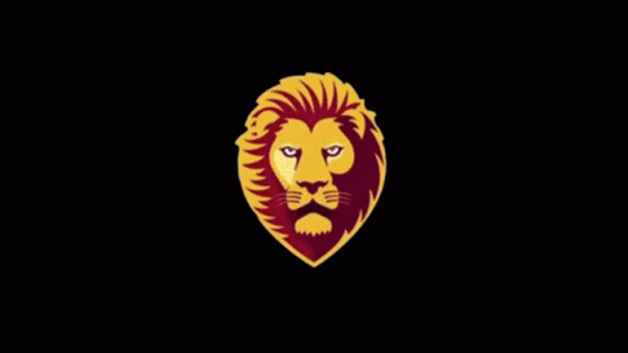Go Lions Growl GIF