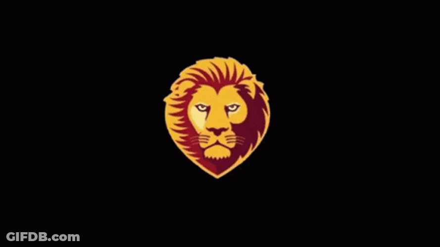 Go Lions Roar Champions GIF