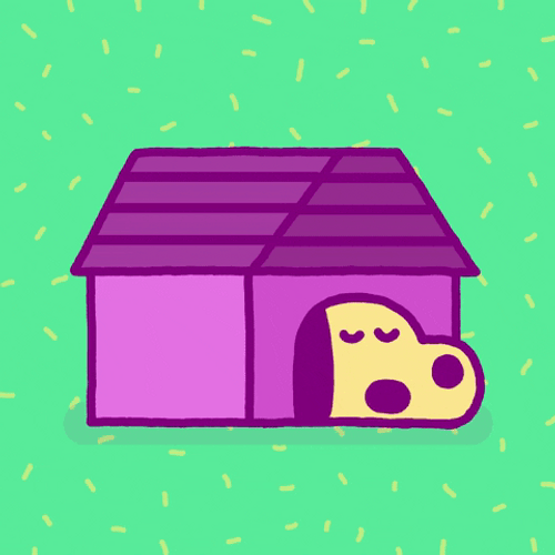 Go Night Night Animated Dog GIF