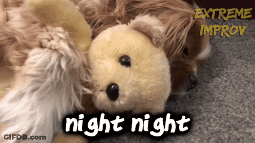 Go Night Night Dog Hugging Teddy Bear GIF