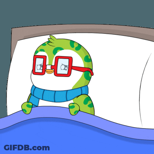 Go Night Night Green Pudgy Penguin GIF