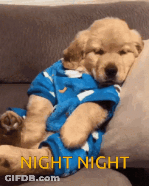 Go Night Night Yawning Puppy GIF