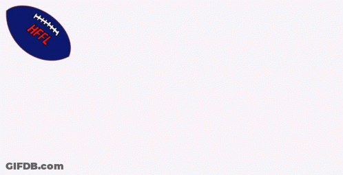 Go Team Stout Logo With Football GIF