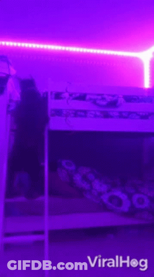 Go To Bed Doggo GIF