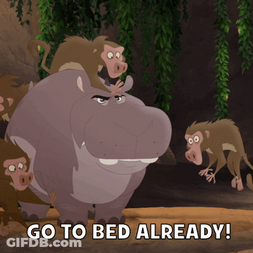 Go To Bed Hippo And Monkeys GIF