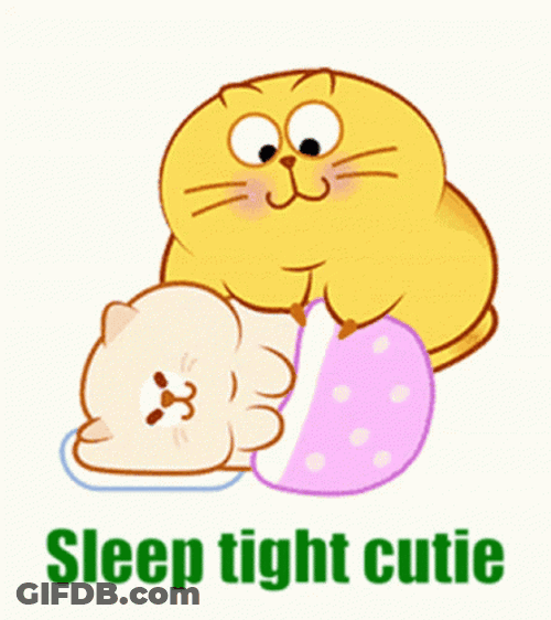 Go To Sleep Egg Yolk Cat GIF