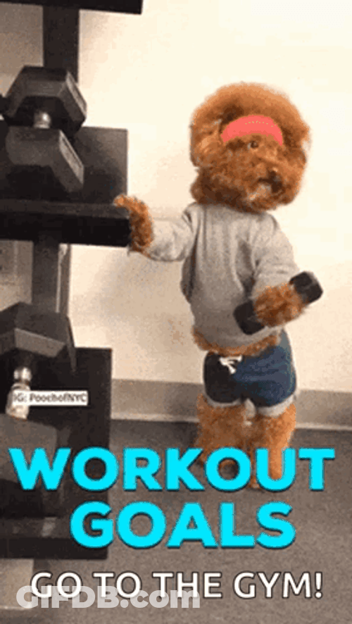 Go To The Gym Dog Workout Goals GIF