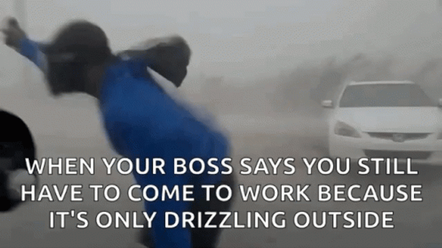 Go To Work Because Its Only Drizzling Outside Hurricane Meme GIF