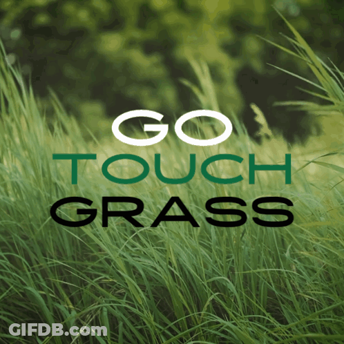 Go Touch Grass Poster GIF
