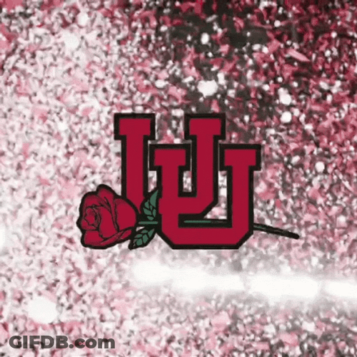 Go Utes Flying Confetti Celebration GIF