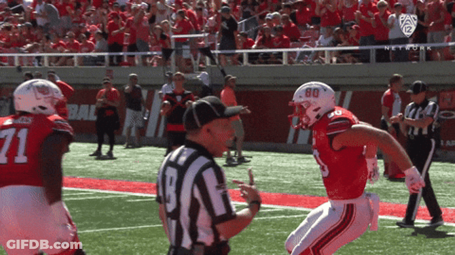 Go Utes Jumping Chest Bump GIF