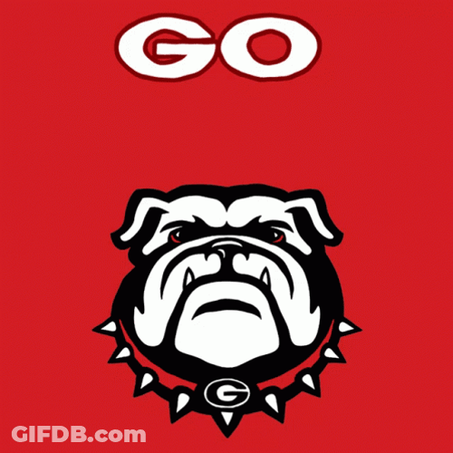 Go Vote Go Dawgs GIF