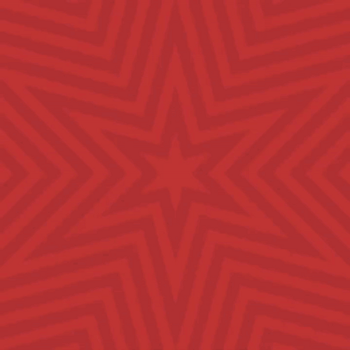 Goal Shot Connor Bedard GIF