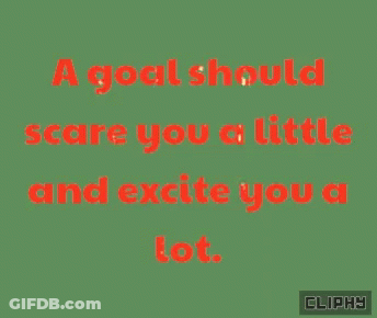 Goal Should Scare You And Excite You GIF