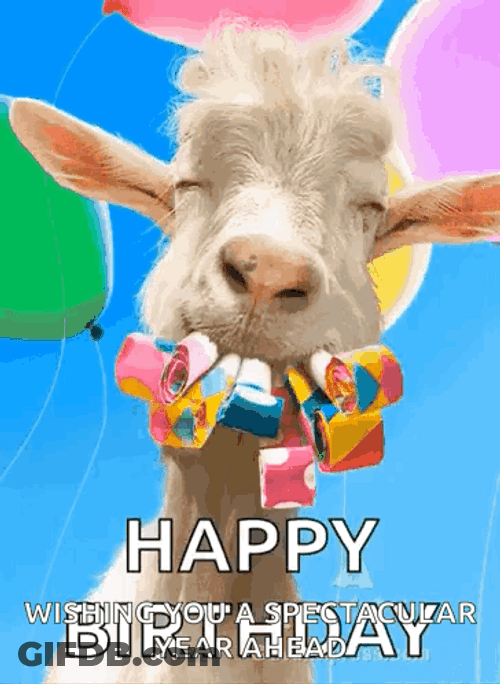 Goat Birthday Meme GIF