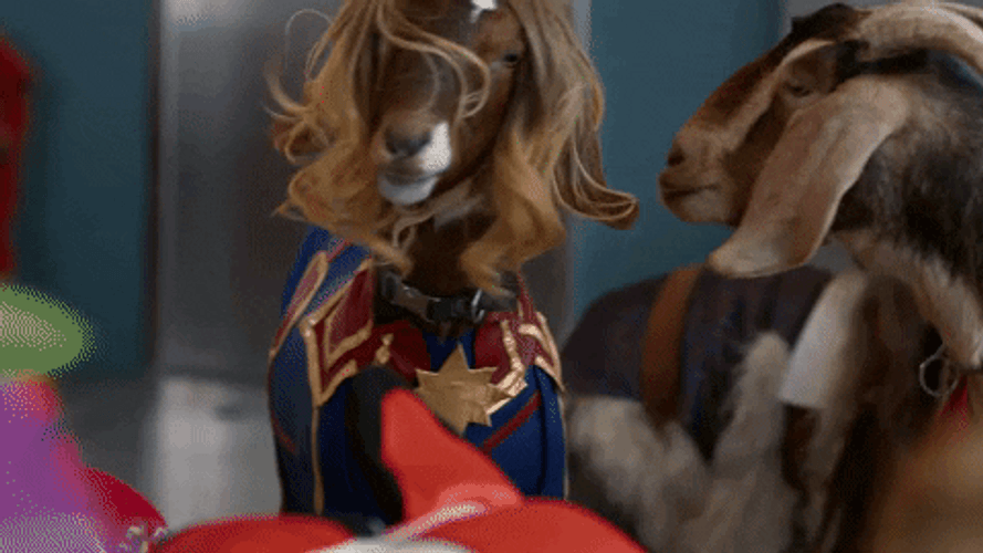 Goat Captain Marvel Cosplay GIF