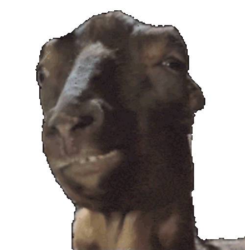 Goat Chewing Sticker GIF