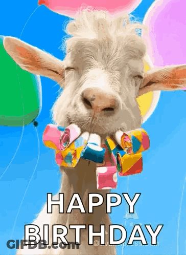 Goat Holding Balloons Blowing Party Horn GIF