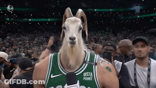 Goat In Boston Celtics Jersey GIF