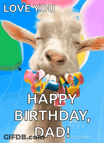 Goat In Bow Tie With Balloons Saying Happy Birthday Dad GIF