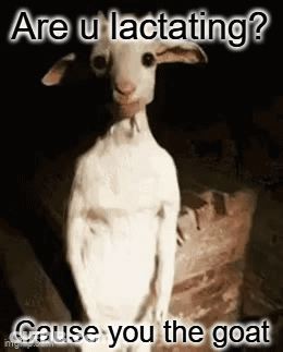 Goat In Dark Saying Are U Lactating Cause You The Goat GIF