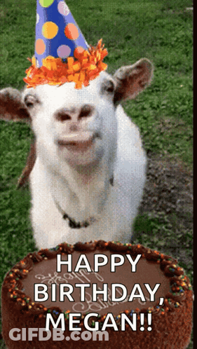 Goat In Party Hat Next To Birthday Cake GIF