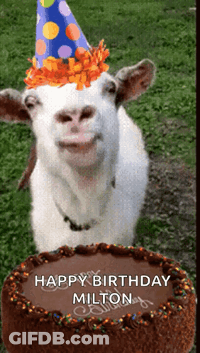 Goat In Party Hat Saying Happy Birthday Milton GIF