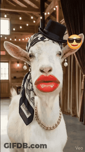 Goat In Top Hat Scarf Red Lips Gold Chain GIF
