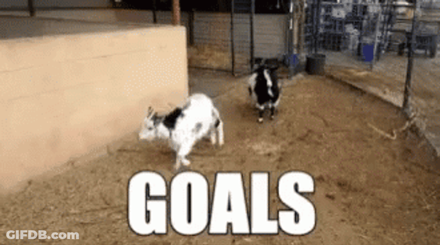 Goat Jumping Goals GIF