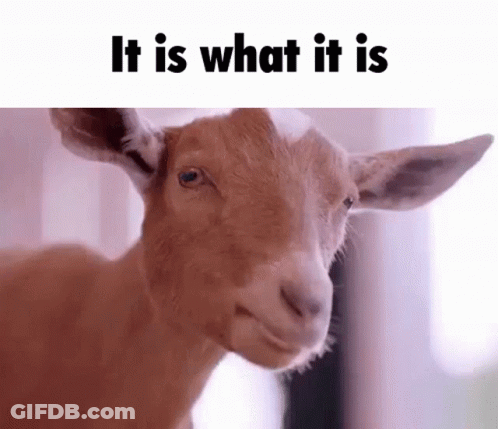 Goat Making Funny Face It Is What It Is GIF