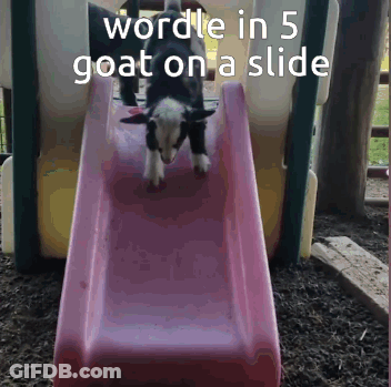 Goat On A Slide Saying Wordle In 5 GIF