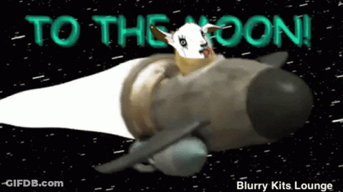 Goat On Rocket With To The Moon GIF