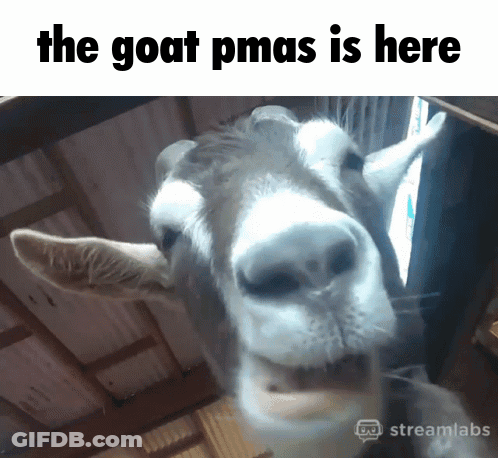 Goat Pmas Here GIF