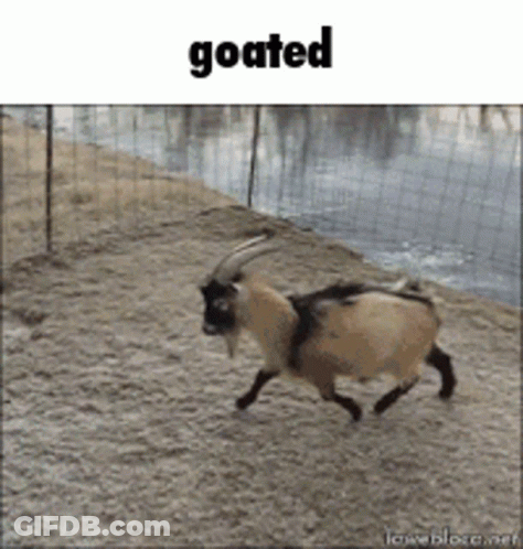 Goat Running In Dirt Field Saying Goated GIF