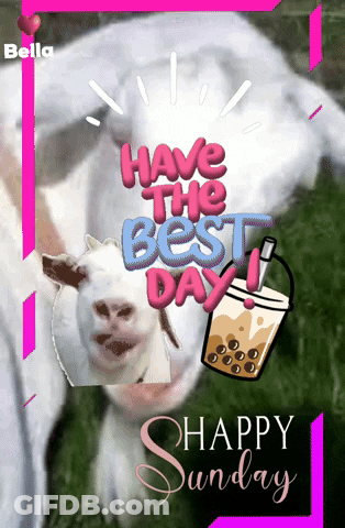 Goat Saying Have The Best Day GIF