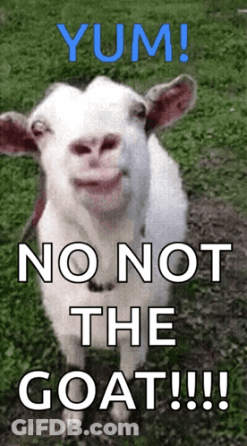 Goat Saying Yum No Not The Goat GIF