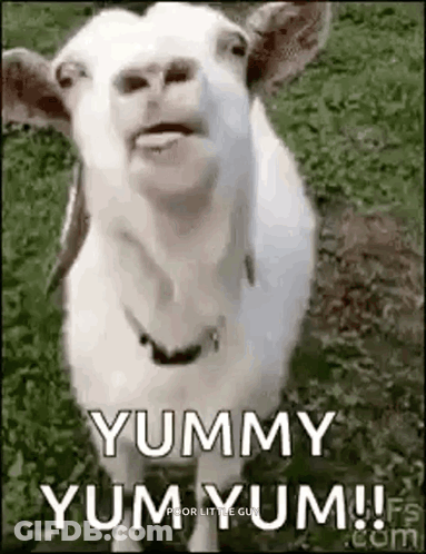 Goat Saying Yummy Yum Yum GIF