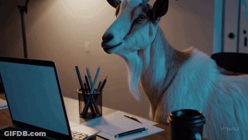 Goat Standing On Desk With Laptop And Coffee GIF