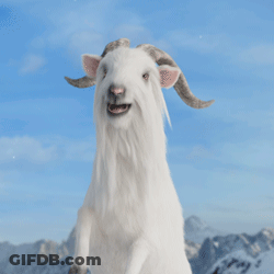 Goat Standing On Hind Legs GIF
