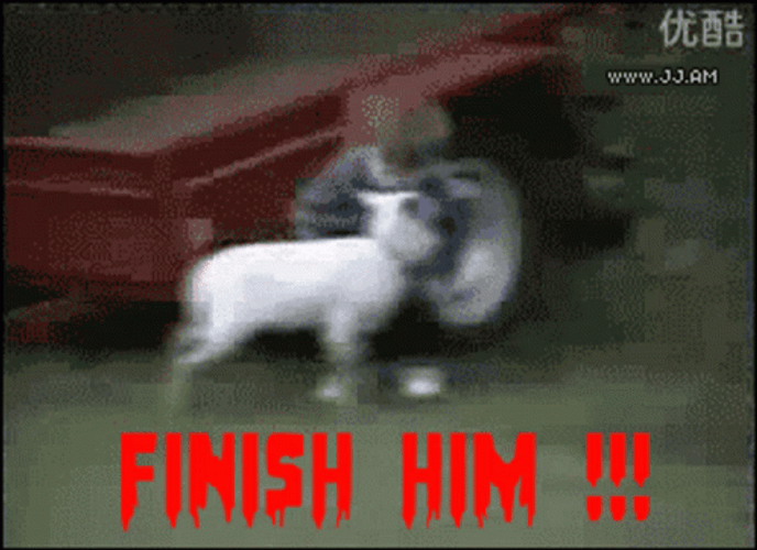 Goat Versus Kid Finish Him GIF