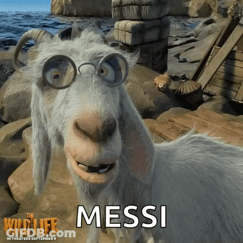 Goat Wearing Glasses Messi GIF