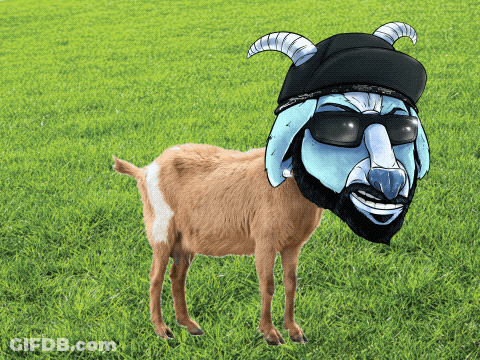 Goat Wearing Mask And Sunglasses GIF
