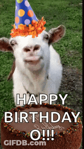 Goat Wearing Party Hat In Front Of Birthday Cake GIF