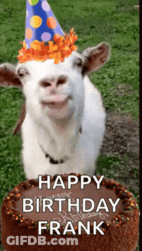 Goat Wearing Party Hat Next To Birthday Cake GIF