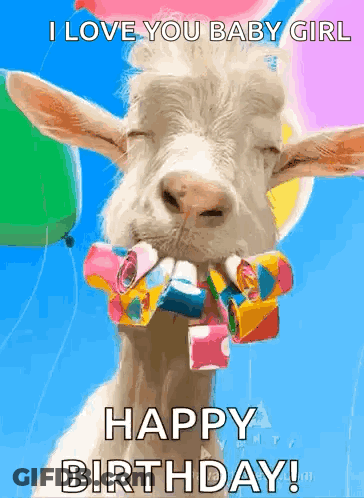 Goat Wearing Party Hat With Balloons GIF