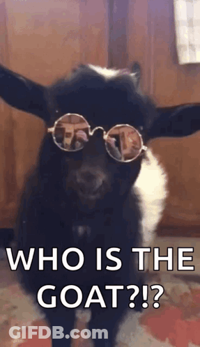 Goat Wearing Sunglasses Saying Who Is The Goat GIF
